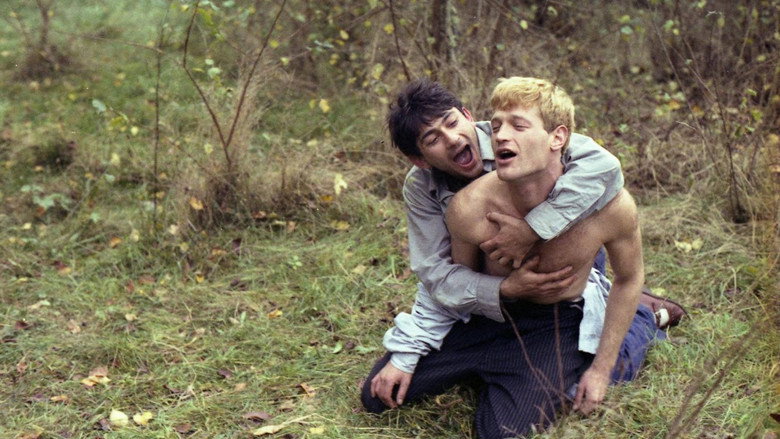 Scene 5