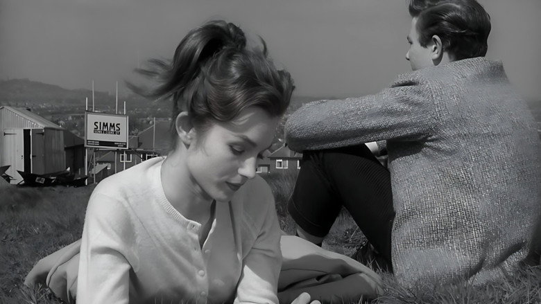 Scene 5