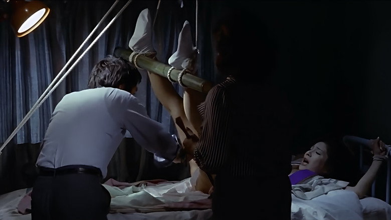 Scene 3