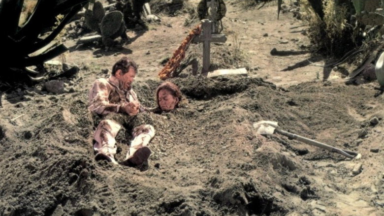 Scene 5
