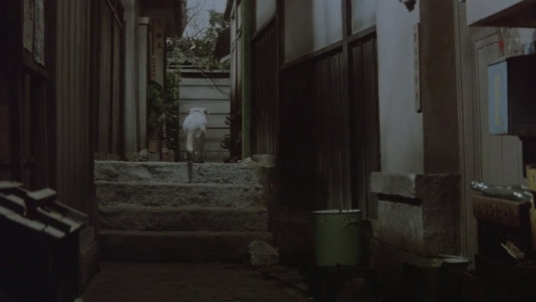Scene 3