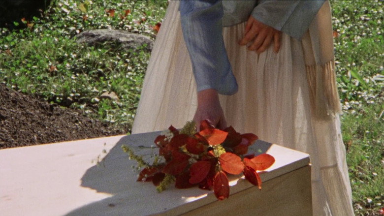 Scene 5