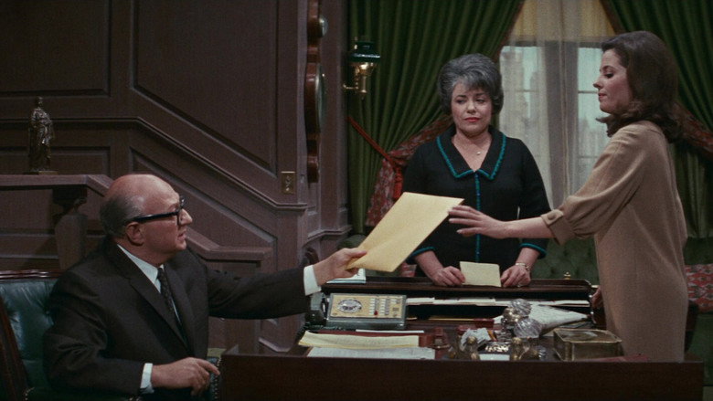 Scene 5