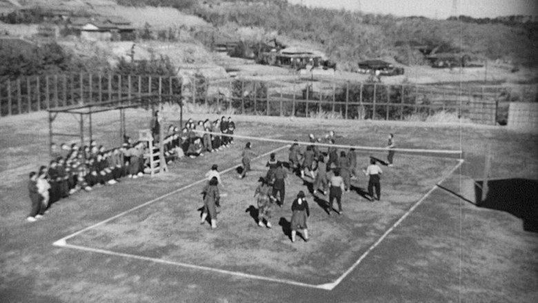 Scene 3
