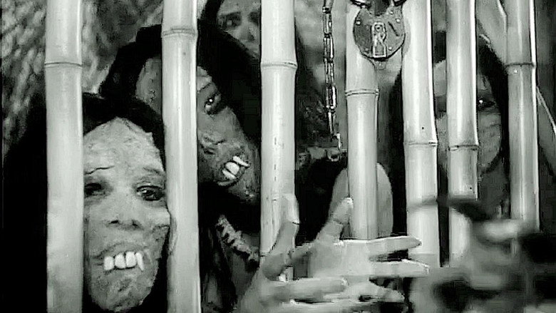 Scene 3