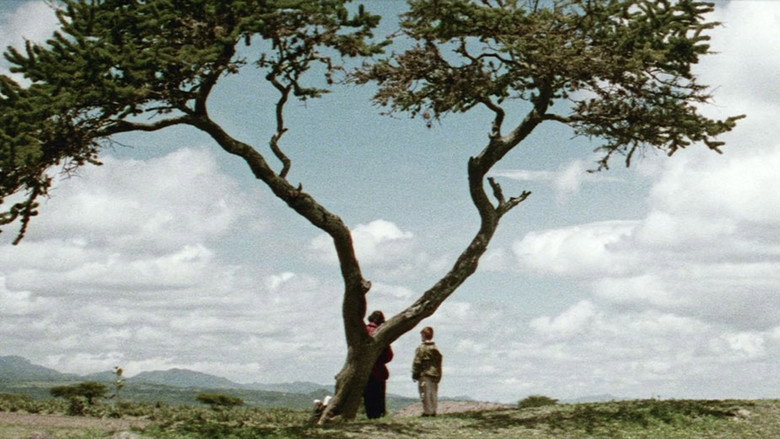 Scene 5