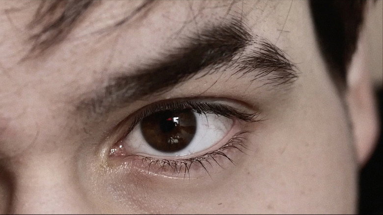 Scene 5