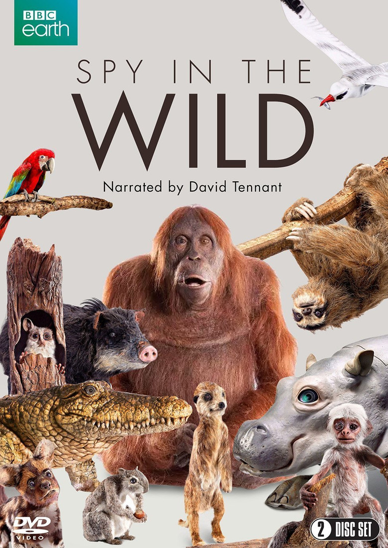 Poster 3