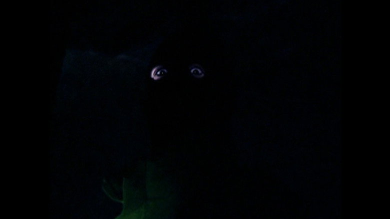 Scene 3