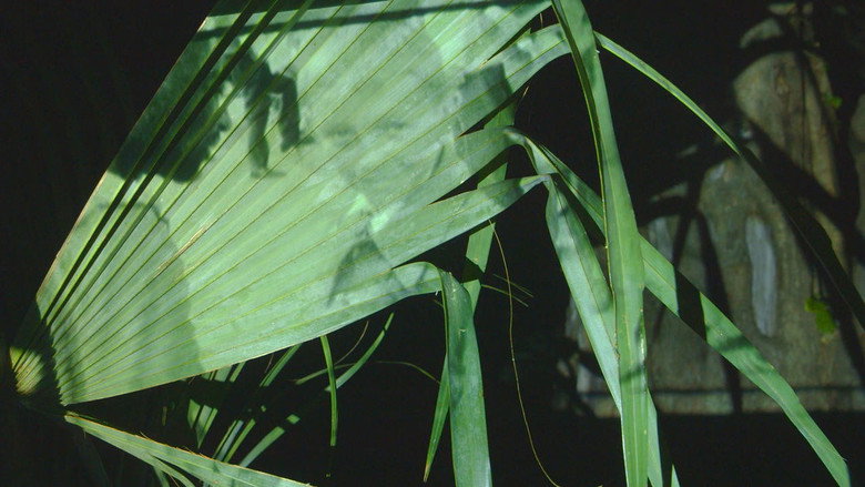 Scene 3
