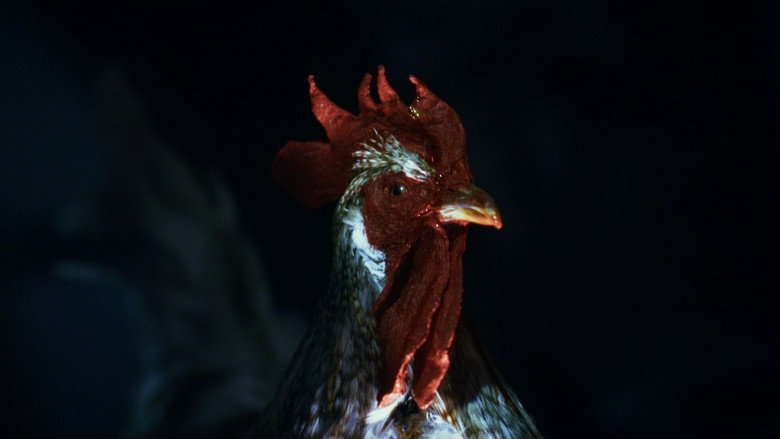 Rooster Road backdrop