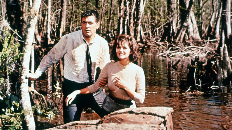Scene 5
