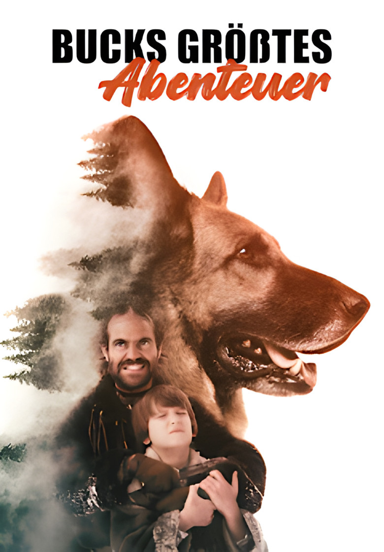 Poster 5