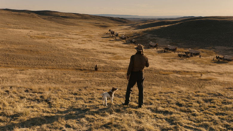Scene 5