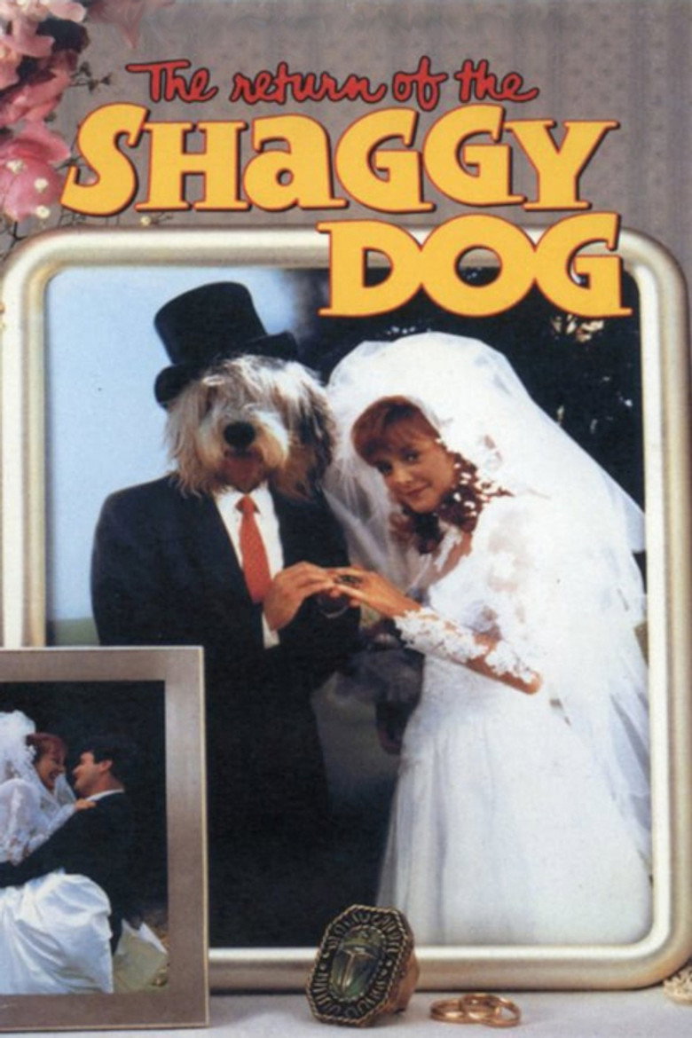 Poster 3