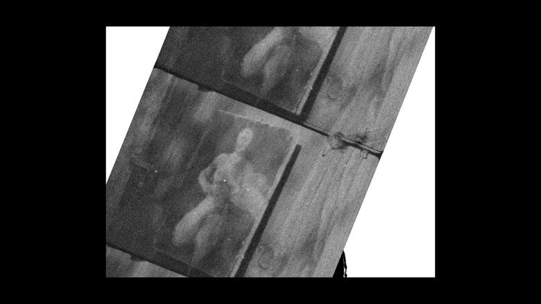 Filme Lynch backdrop