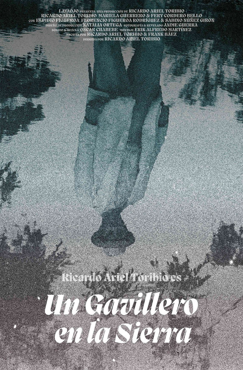 Poster 3
