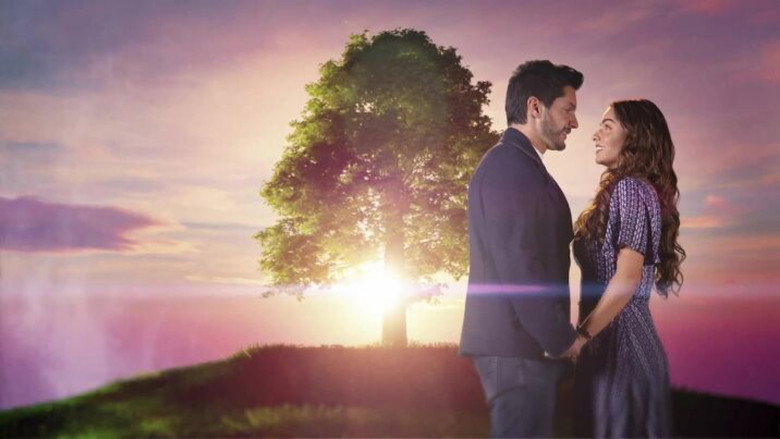 Scene 3