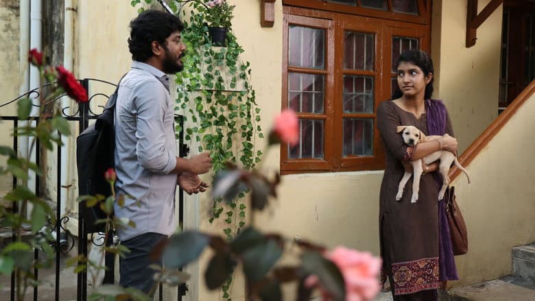 Scene 4