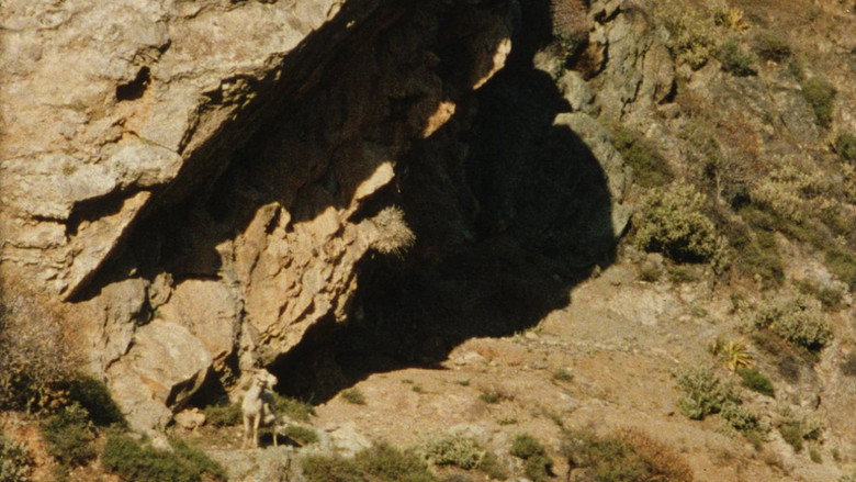 Scene 2