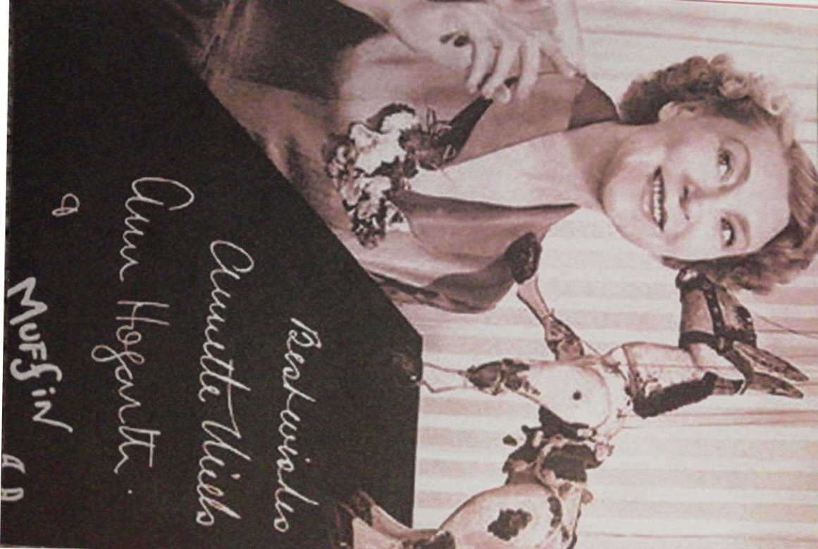 Poster 3