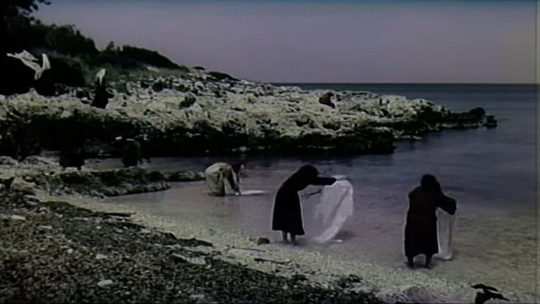 Scene 4