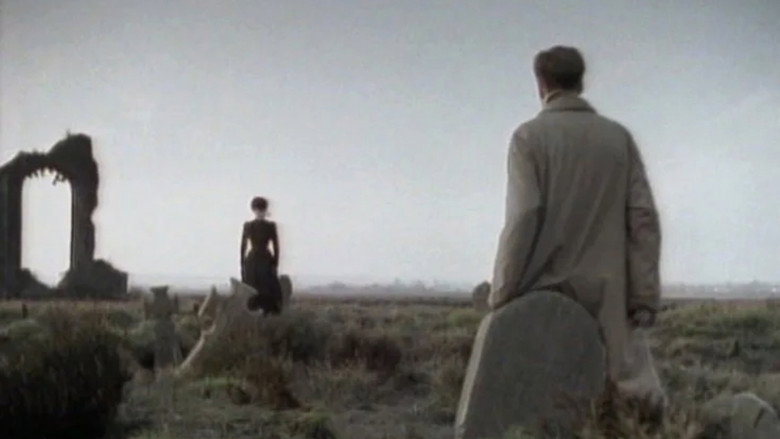 Scene 5