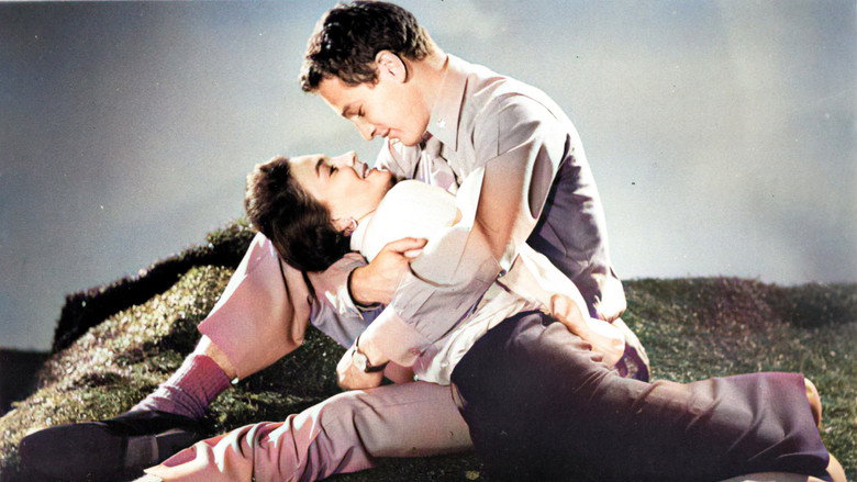 Scene 3