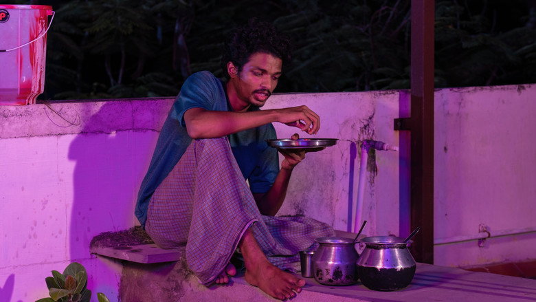 Scene 5