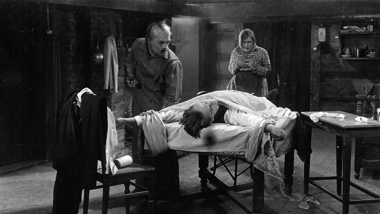 Scene 3