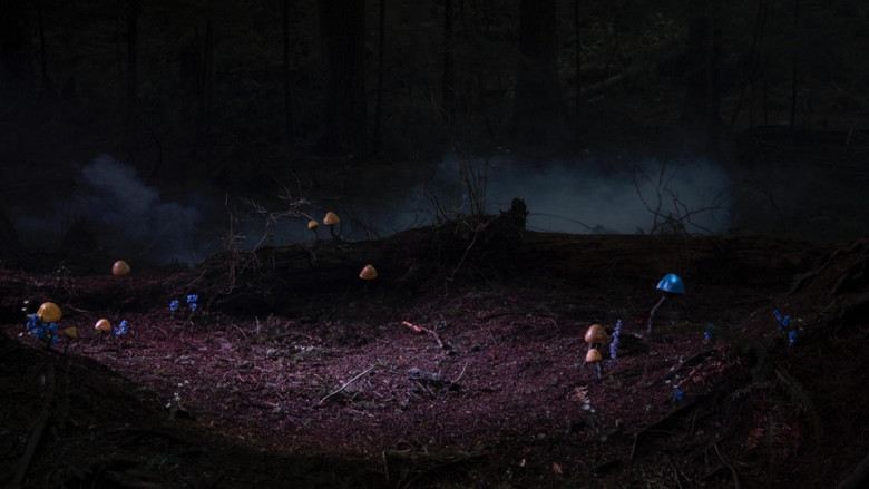 Scene 2