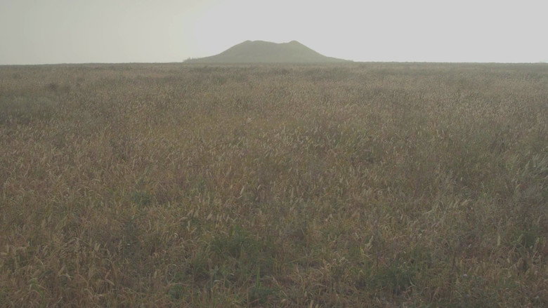 Scene 3