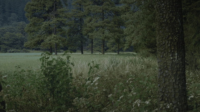 Scene 3