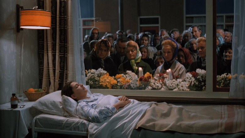 Scene 5