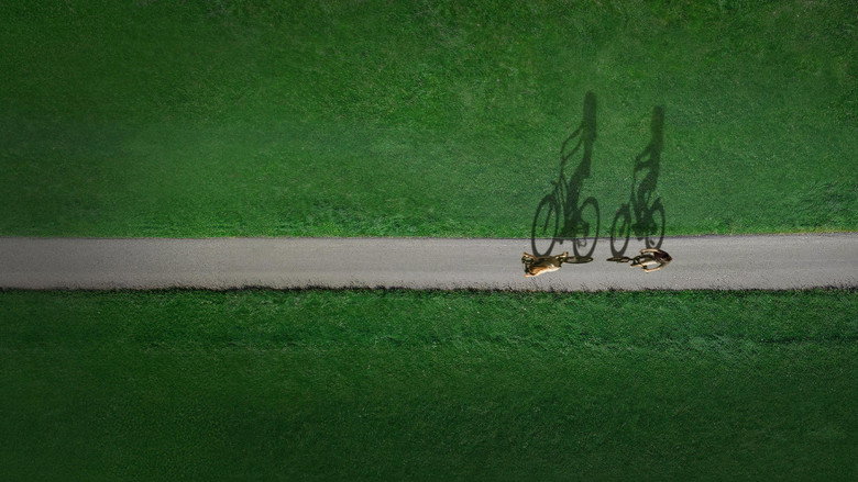 Scene 5