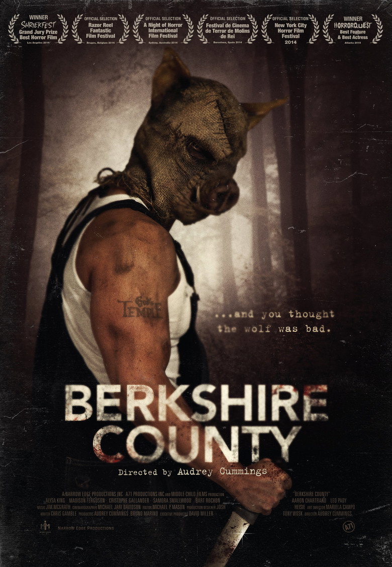 Poster 6