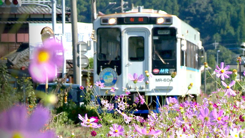 Train Cruise backdrop