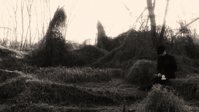 Scene 4