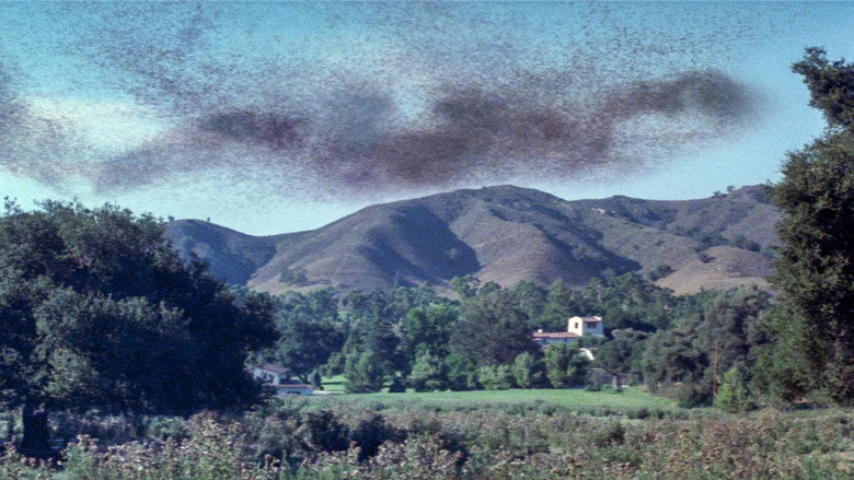 view all