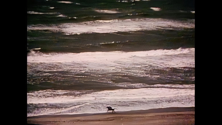 Scene 3