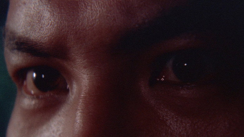 Scene 5
