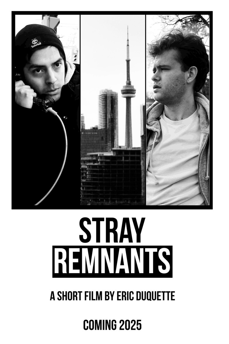Poster 1