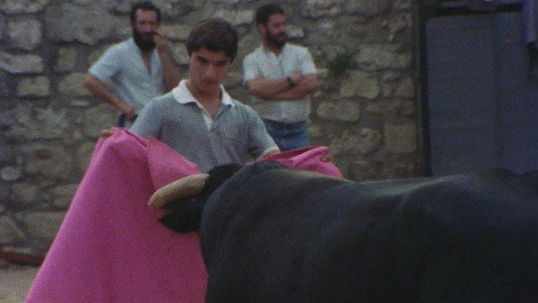Scene 4