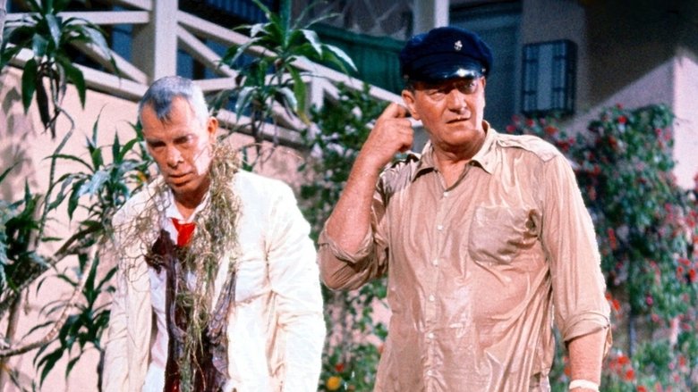 Scene 3