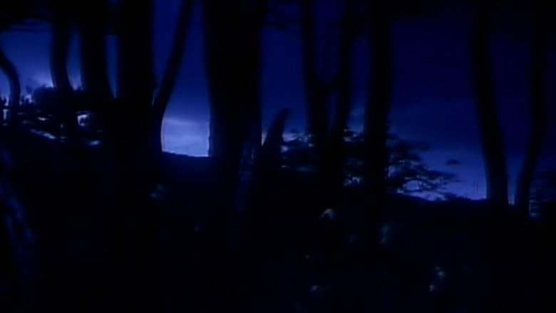Scene 2