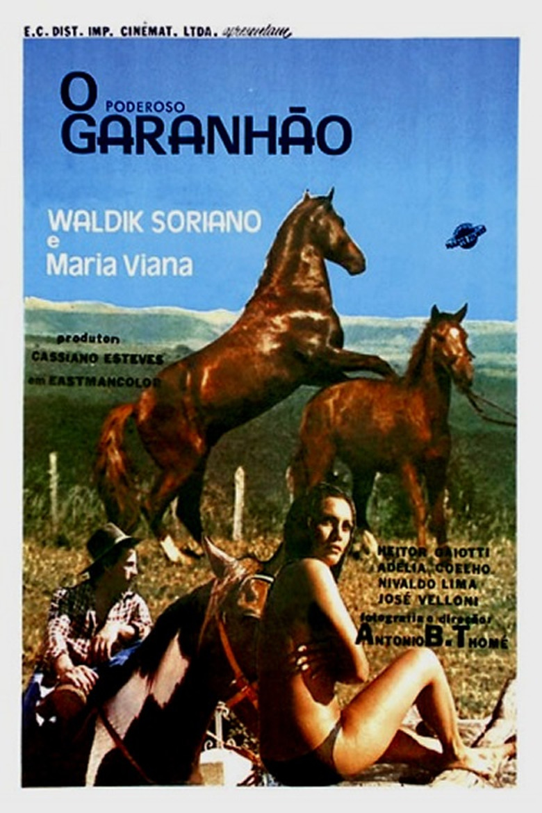 Poster 3