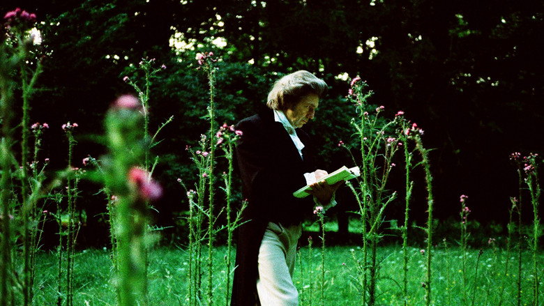 Scene 4
