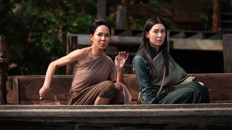 view all