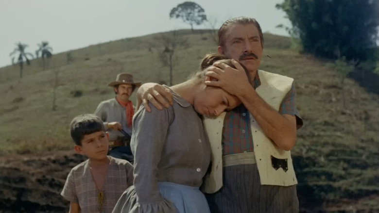 Scene 3