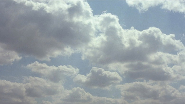Scene 5